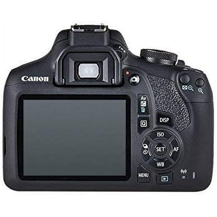 SSE Canon EOS 2000D (T7) EF-S 18-55mm is II Kit with Canon EF 50mm f/1.8 STM Lens and Basic Lens Accessory Bundle - Includes: 500mm Telephoto Preset Lens, Professional EF T-Mount and Much More