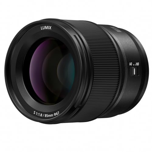 Panasonic LUMIX S5IIX Mirrorless Camera with LUMIX S 20-60mm f/3.5-5.6 Lens and LUMIX S 85mm f/1.8 Lens