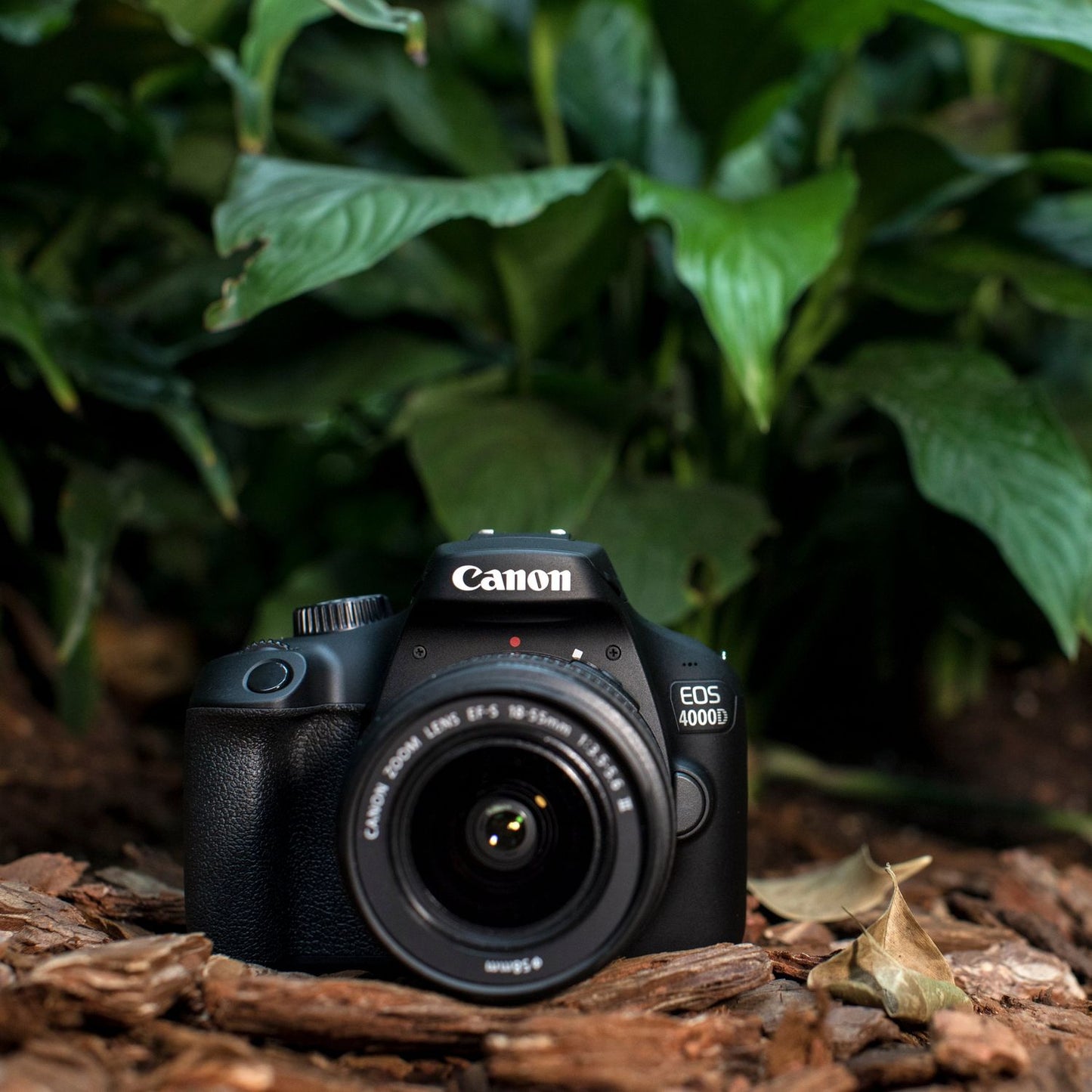 Canon EOS 4000D with EF-S 18-55mm f/3.5-5.6 III (WHITE BOX) with Starter Accessory Bundle - Includes: SanDisk Ultra 32GB SDHC Memory Card (UHS-I / Class 10), High Speed Memory Card Reader & MORE
