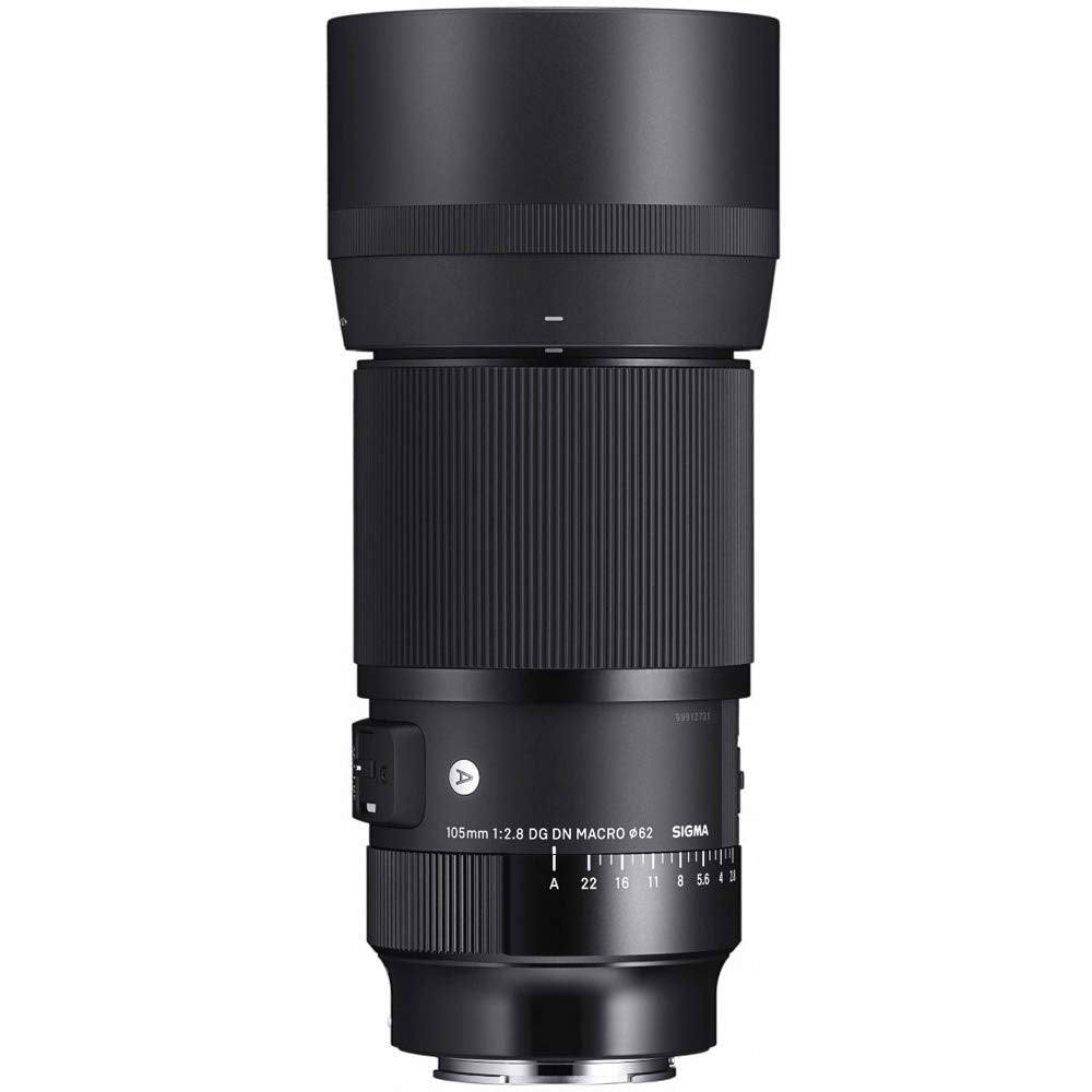 Sigma 260965 105mm F2.8 Art DG DN Macro Lens for Sony E Mount Full Frame Mirrorless Bundle with Sandisk 128GB Extreme SD Memory UHS-I Card