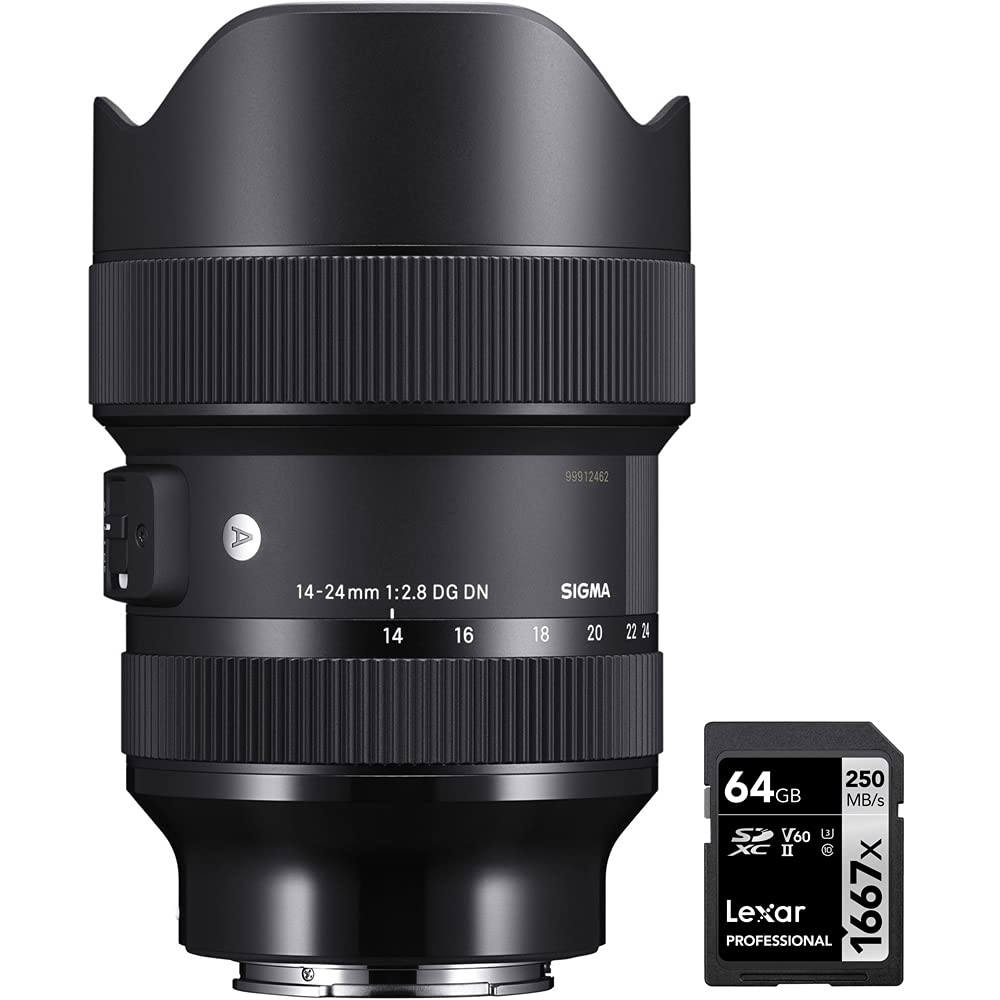 Sigma 213965 14-24mm f/2.8 DG DN Art Lens for Sony E Black Bundle with Lexar Professional SDHC/SDXC 1667x UHS-II 64GB Memory Card