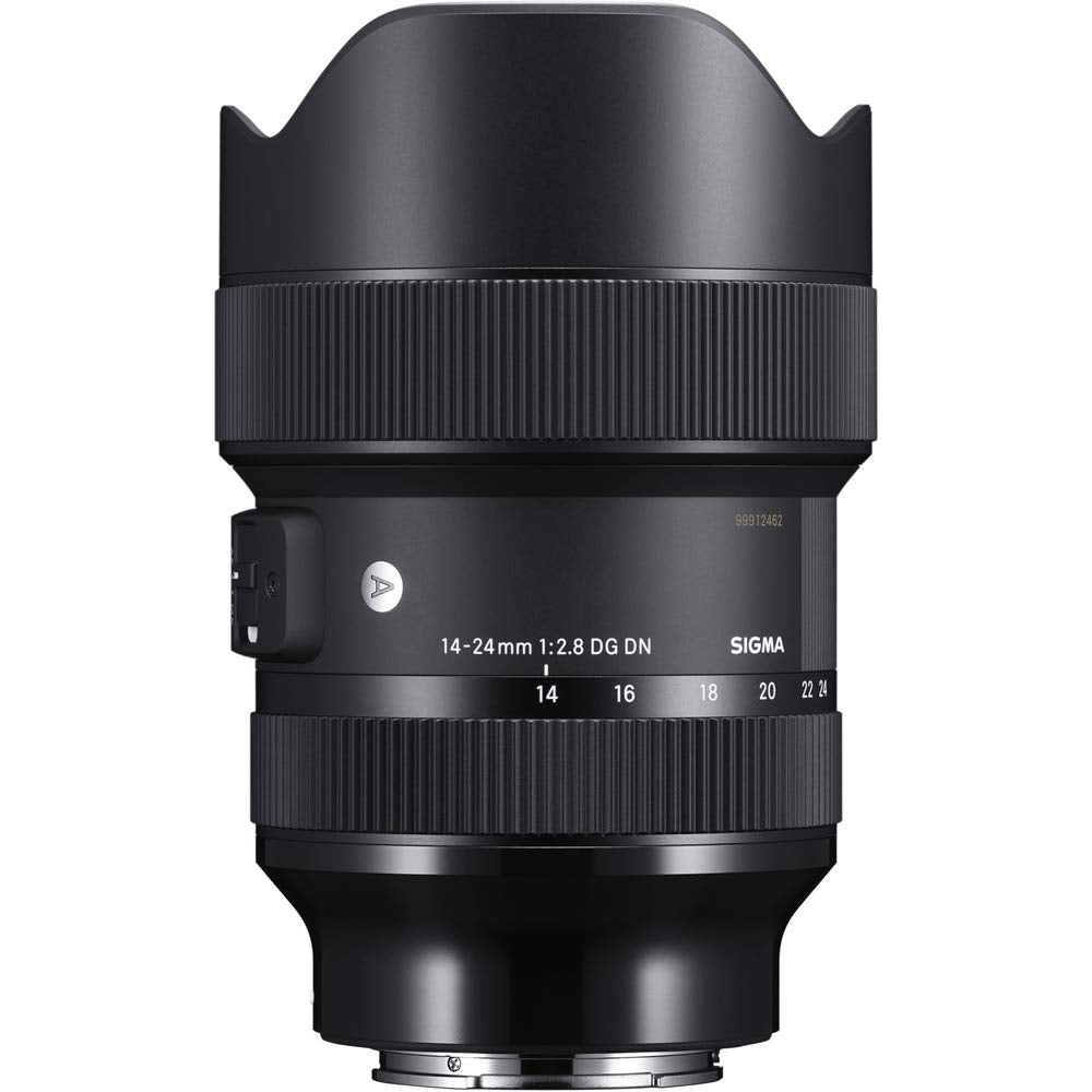 Sigma 213965 14-24mm f/2.8 DG DN Art Lens for Sony E Black Bundle with Lexar Professional SDHC/SDXC 1667x UHS-II 64GB Memory Card