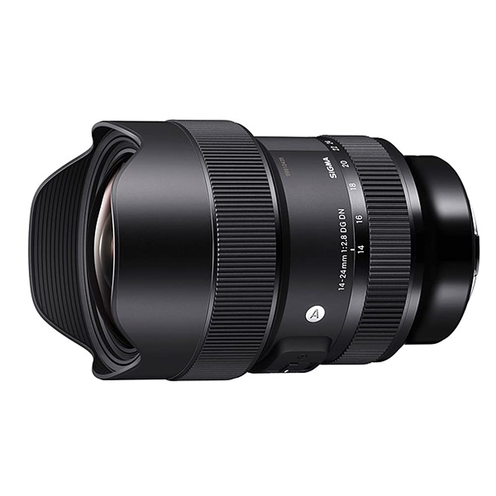 Sigma 213965 14-24mm f/2.8 DG DN Art Lens for Sony E Black Bundle with Lexar Professional SDHC/SDXC 1667x UHS-II 64GB Memory Card
