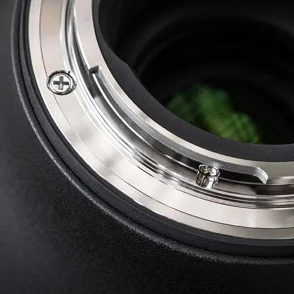 Sigma 402973 16mm F1.4 DC DN Contemporary Telephoto Lens for Nikon Z Bundle with Lexar 64GB High-Performance 800x UHS-I SDXC Memory Card