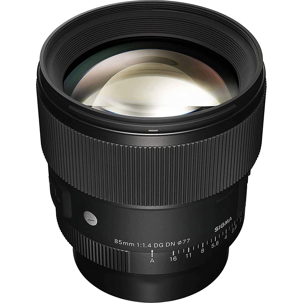 Sigma 322965 85mm F1.4 DG DN Art Lens for Full Frame Sony E-Mount Mirrorless Cameras Bundle with Lexar Professional SDHC/SDXC 1667x UHS-II 64GB Memory Card