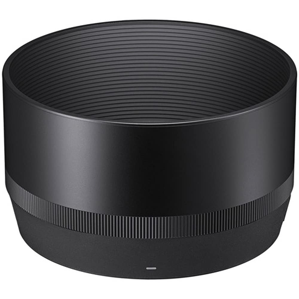 Sigma 322965 85mm F1.4 DG DN Art Lens for Full Frame Sony E-Mount Mirrorless Cameras Bundle with Lexar Professional SDHC/SDXC 1667x UHS-II 64GB Memory Card
